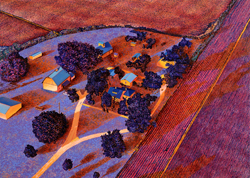 Illinois Flatscape 78