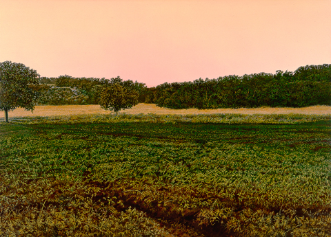 Illinois Landscape 152